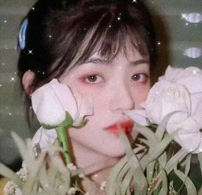 真正的脑洞 在线观看